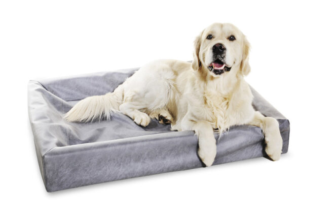 Hondenmand Bia bed 7 grijs 100x120cm-5418