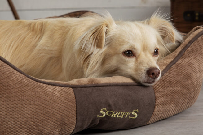 Hondenmand Chester Chocolate Bruin - Afbeelding 3