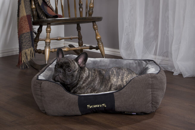 Scruffs Hondenmand Chester Graphite-Grijs - Afbeelding 3