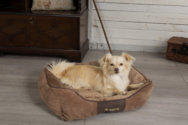 Hondenmand Chester Chocolate Bruin - Afbeelding 4