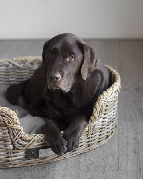 Hondenmand Riet met touw Happy House