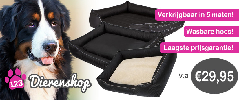 hondenmanden dogs lifestyle