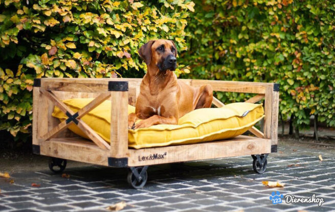 Hondenbank Vintage met kussen - Afbeelding 7