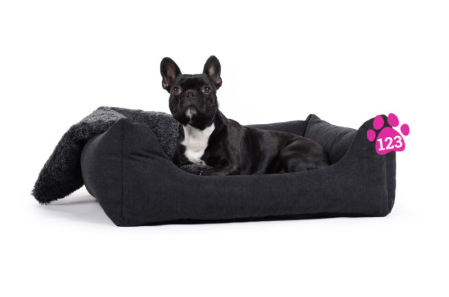 Hondenmand Comfort Dream Zwart-14859