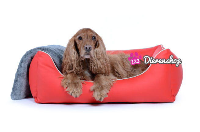Hondenmand Ultimate Dream Rood-14854