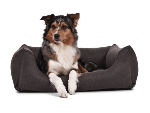 Hondenmand Comfort Dream Bruin-0