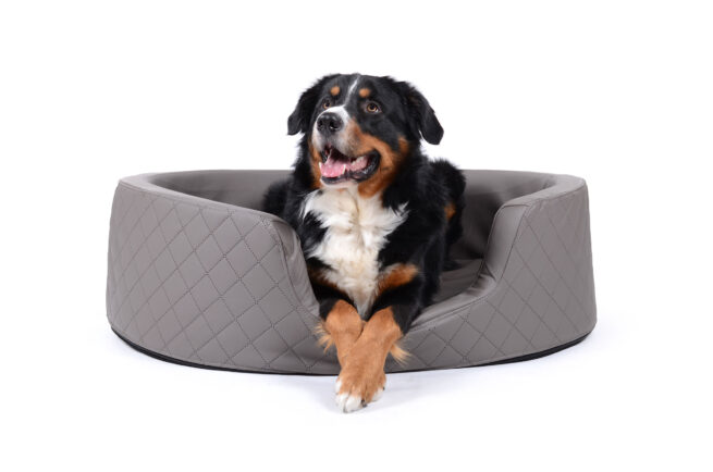 Grote hondenmand Orthopedische hondenmand Solatium Deluxe Taupe 100 cm