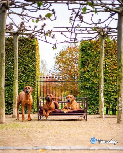 Hondenbank Romantic Lex & Max