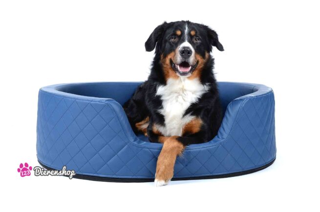 Orthopedische hondenmand Solatium Deluxe Blauw 80 cm-0