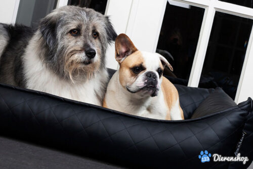 Hondenmand Lex & Max Eco Leather Zwart