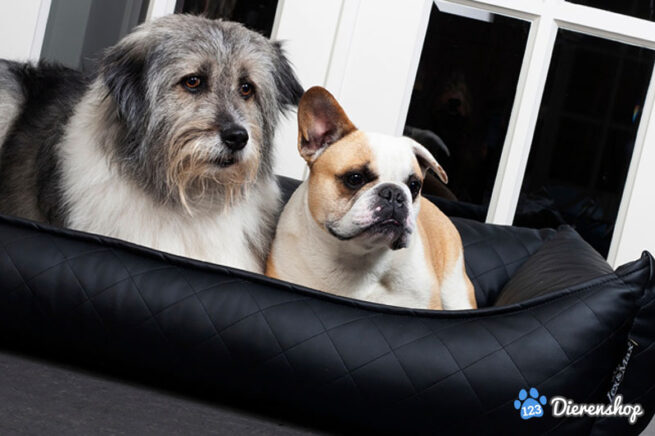Hondenmand Lex & Max Eco Leather Zwart