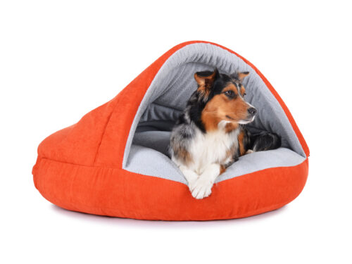 Hondenmand Snuggle Cave Oranje 95cm