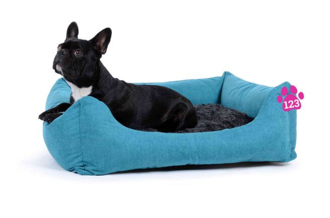 Hondenmand Comfort Dream Turquoise-17322