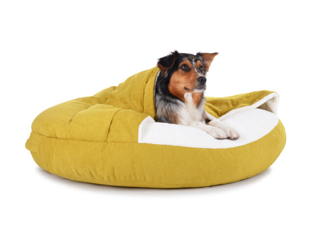 Hondenmand Snuggle Cave Deluxe Kiwi - Afbeelding 4