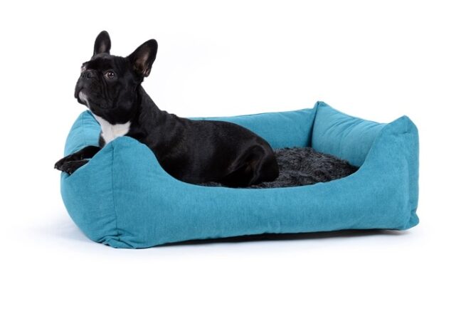 Hondenmand Comfort Dream Turquoise-20153