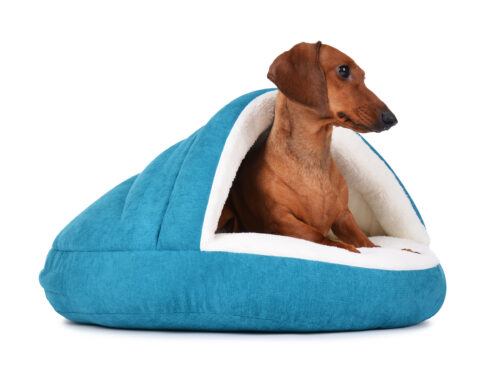 Hondenmand Snuggle Cave Deluxe Turquoise