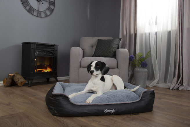 Hondenmand Orthopedische hondenmand Scruffs Chateau