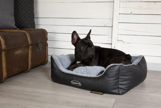 Hondenmand Orthopedische hondenmand Scruffs Chateau