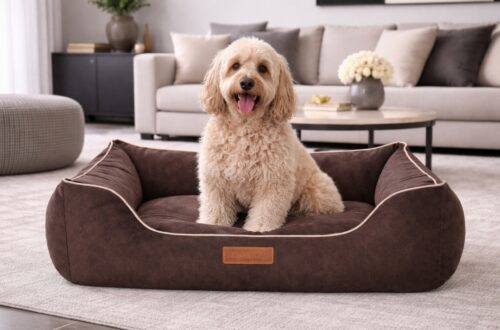 Dog's Lifestyle Hondenmand Indira Misty Bruin<div class="yasr-vv-stars-title-container"><div class='yasr-stars-title yasr-rater-stars'
id='yasr-visitor-votes-readonly-rater-9c6c7e4b6de9c'
data-rating='0'
data-rater-starsize='16'
data-rater-postid='200594'
data-rater-readonly='true'
data-readonly-attribute='true'
></div><span class='yasr-stars-title-average'>0 (0)</span></div> Hondenmand Indira Misty Bruin