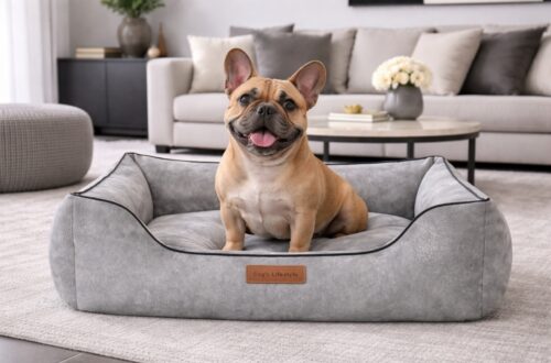 Hondenmand Hondenmand Indira Misty Grijs Hondenmand Indira Misty Grijs