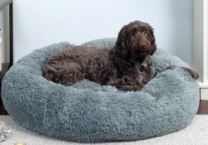 donut mand hondenbed