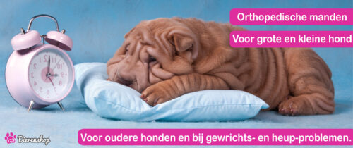 Orthopedische Hondenmand
