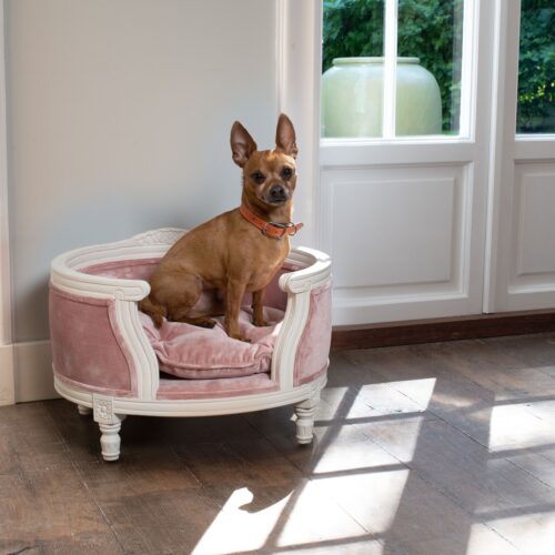 Hondenmand Lord Lou George Pink Velvet Medium