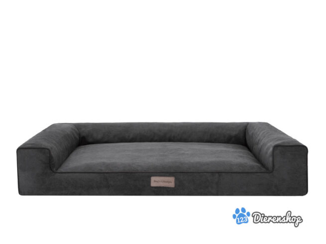 antraciet kleurige hondenmand