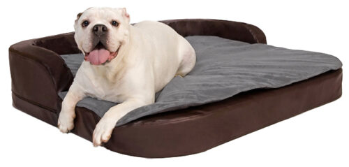 Orthopedische Hondenmand DoggyBed Orthopedische hondenmand Medical Plus Bruin<div class="yasr-vv-stars-title-container"><div class='yasr-stars-title yasr-rater-stars'
                          id='yasr-visitor-votes-readonly-rater-1d6670856c869'
                          data-rating='0'
                          data-rater-starsize='16'
                          data-rater-postid='203144'
                          data-rater-readonly='true'
                          data-readonly-attribute='true'
                      ></div><span class='yasr-stars-title-average'>0 (0)</span></div>