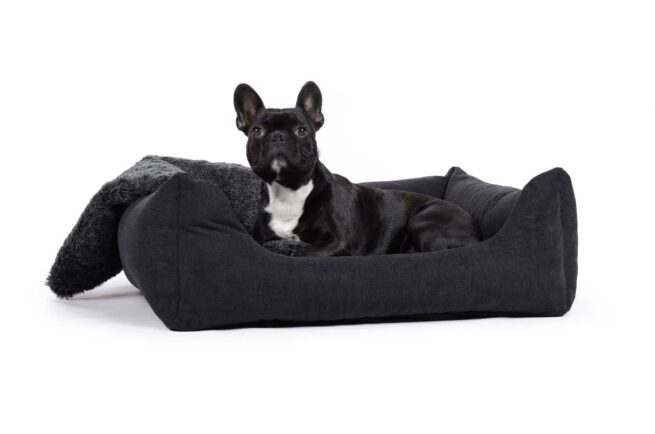 Orthopedische hondenmand Comfort Dream Zwart