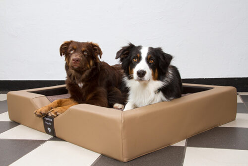 Orthopedische Hondenmand DoggyBed Orthopedische hondenmand Gelax Bruin-Nougat<div class="yasr-vv-stars-title-container"><div class='yasr-stars-title yasr-rater-stars'
                          id='yasr-visitor-votes-readonly-rater-561d31595dc6e'
                          data-rating='0'
                          data-rater-starsize='16'
                          data-rater-postid='203151'
                          data-rater-readonly='true'
                          data-readonly-attribute='true'
                      ></div><span class='yasr-stars-title-average'>0 (0)</span></div>