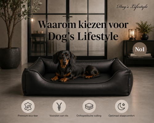 Dog's Lifestyle Orthopedische Hondenmand eco-leder Waterproof Zwart