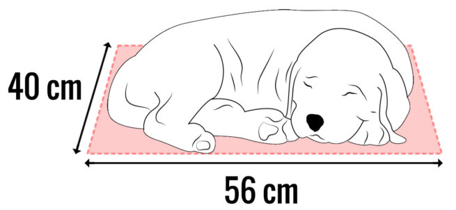 Dog's Lifestyle Dog’s Lifestyle Orthopedische hondenmand Eco-Leer Crème-Zwart 80cm
