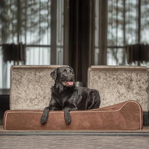 Orthopedische hondenmand Bully Bed Bruin