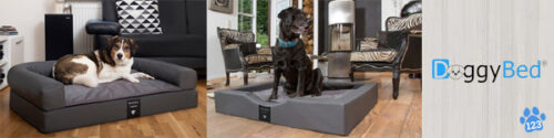 DoggyBed