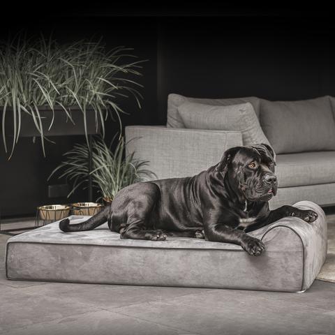 Orthopedische hondenmand Bully Bed Grijs