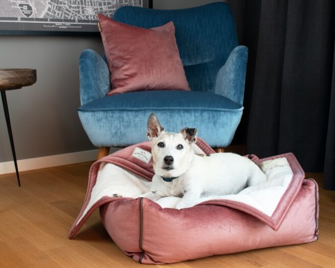Hondenmand Kona Cave® Bolster Bed Velvet - Afbeelding 3