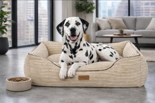 Hondenmand Rib Corduroy Beige