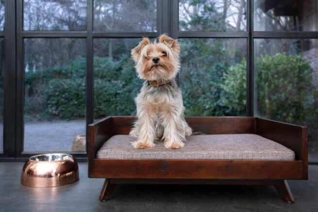 Hondensofa Lord Lou Jason Bruin Small - Afbeelding 2