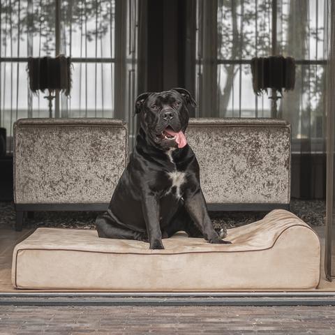 Orthopedische hondenmand Bully Bed Taupe