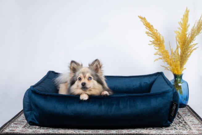 Hondenmanden Lex & Max Hondenmand Lex & Max Amsterdam Velvet Indigo Blauw