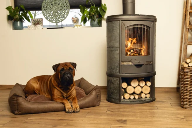hond ligt in hondenmand voor openhaard