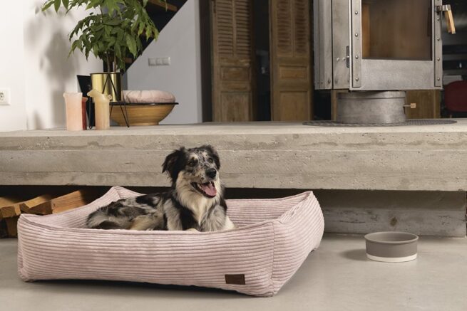Hondenmand Designed By Lotte Ribbed Roze - Afbeelding 10