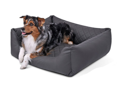 border collie in antraciet hondenmand
