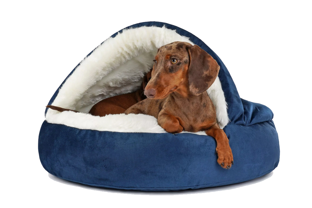 Neuropathie naaien Bladeren verzamelen Hondenmand Snuggle Cave Deluxe Velvet Blauw - 123Hondenmand.nl