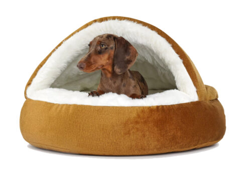 Hondenmand Snuggle Cave Deluxe Velvet Goud