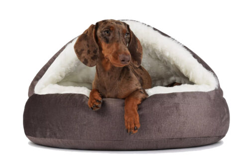 Hondenmand Snuggle Cave Deluxe Velvet Taupe