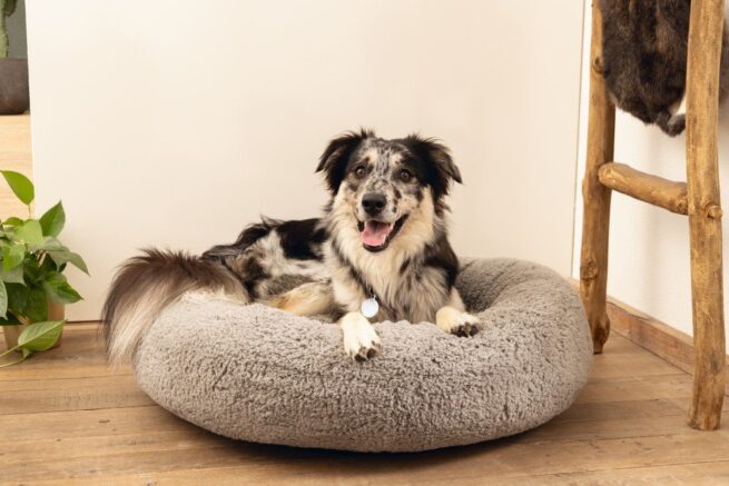 Orthopedische hondenmand Jaxx Donut Grijs - Afbeelding 4