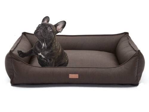Dog's Lifestyle Dog’s Lifestyle Hondenmand Structuro Bruin<div class="yasr-vv-stars-title-container"><div class='yasr-stars-title yasr-rater-stars'
                          id='yasr-visitor-votes-readonly-rater-e508c63a54e7d'
                          data-rating='0'
                          data-rater-starsize='16'
                          data-rater-postid='207511'
                          data-rater-readonly='true'
                          data-readonly-attribute='true'
                      ></div><span class='yasr-stars-title-average'>0 (0)</span></div>