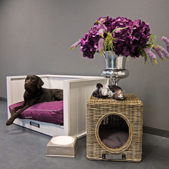 Happy House Hondenbank Wit met kussen - Afbeelding 2